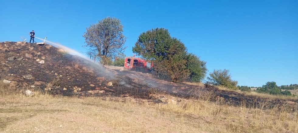 Çamlık Köyü Yolu’nda Korkutan Yangın