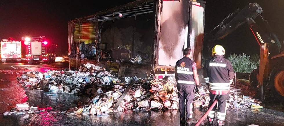 Seyir halindeki TIR alev alev yandı...