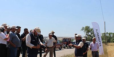 Yeniçağa’da Atılan Tohumlar Dünyaya Umut Oldu